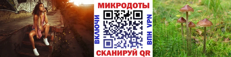 Псилоцибиновые грибы мицелий  Липки 